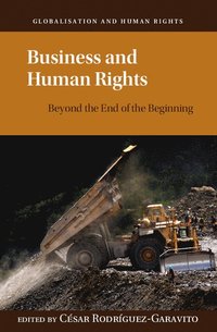 bokomslag Business and Human Rights