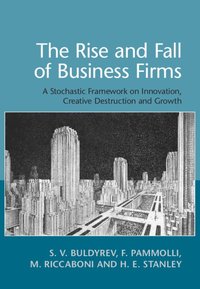 bokomslag The Rise and Fall of Business Firms
