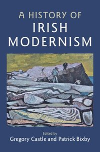 bokomslag A History of Irish Modernism