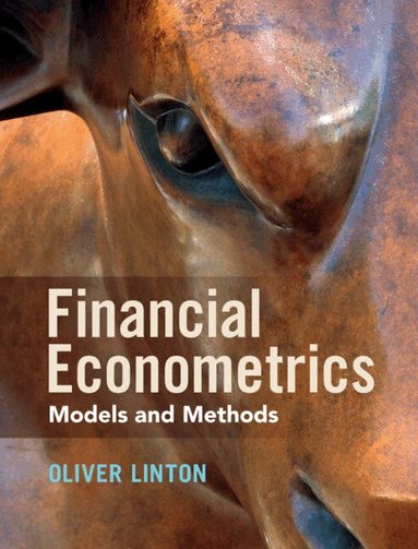 Oliver Linton - Financial Econometrics, Inbunden
