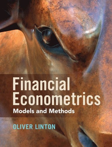 bokomslag Financial Econometrics