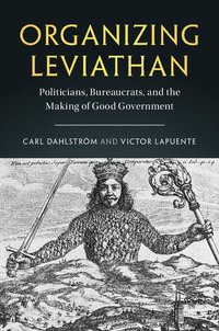 bokomslag Organizing Leviathan