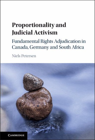 Niels Petersen - Proportionality and Judicial Activism, Inbunden