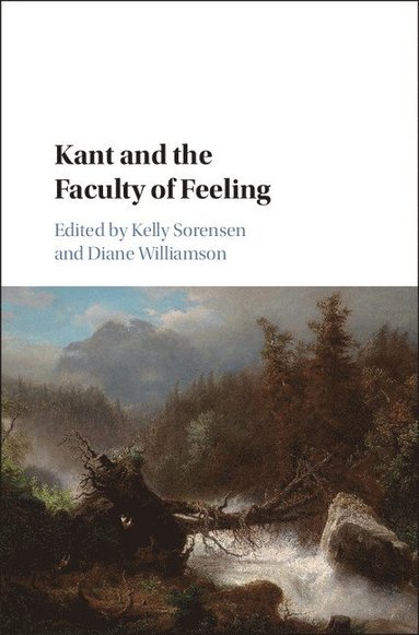 bokomslag Kant and the Faculty of Feeling