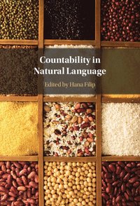 bokomslag Countability in Natural Language