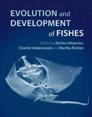 bokomslag Evolution and Development of Fishes