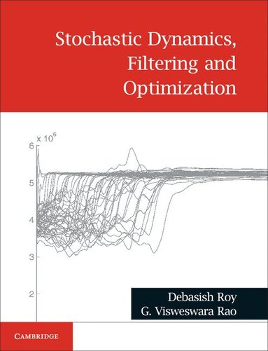 Debasish Roy, G. Visweswara Rao - Stochastic Dynamics, Filtering and Optimization, Inbunden