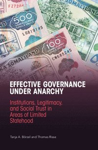 bokomslag Effective Governance Under Anarchy