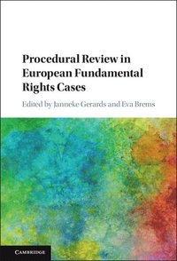 bokomslag Procedural Review in European Fundamental Rights Cases