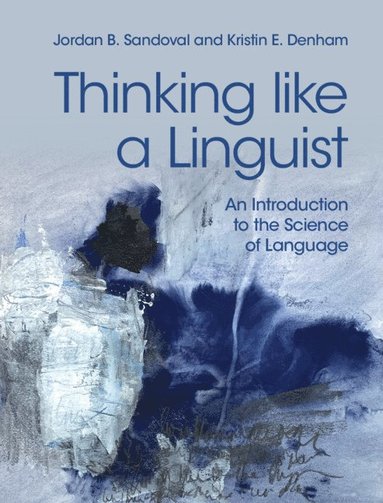 bokomslag Thinking like a Linguist