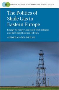 bokomslag The Politics of Shale Gas in Eastern Europe