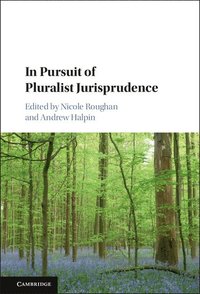 bokomslag In Pursuit of Pluralist Jurisprudence