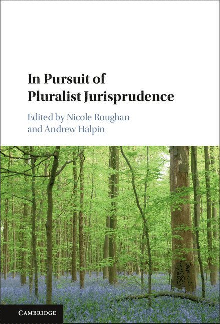 Nicole Roughan, Andrew Halpin, Nicole (National University of Singapore) Roughan, Andrew (National University of Singapore) Halpin - In Pursuit of Pluralist Jurisprudence, Inbunden