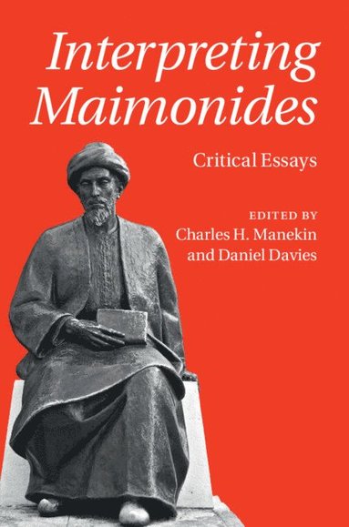 bokomslag Interpreting Maimonides