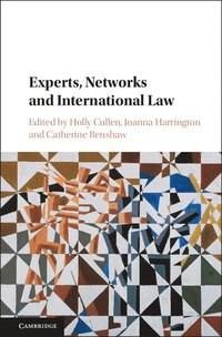 bokomslag Experts, Networks and International Law