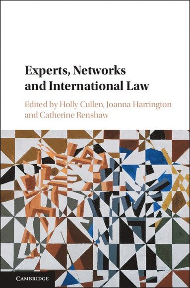 bokomslag Experts, Networks and International Law