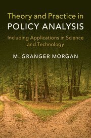 bokomslag Theory and Practice in Policy Analysis