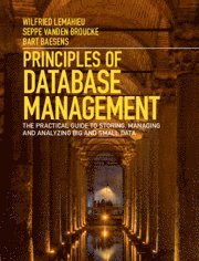 bokomslag Principles of Database Management