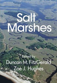 bokomslag Salt Marshes