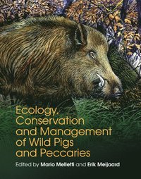 bokomslag Ecology, Conservation and Management of Wild Pigs and Peccaries