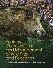 Ecology, Conservation and Management of Wild Pigs and Peccaries 1