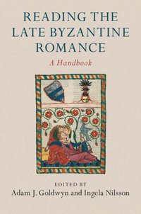 bokomslag Reading the Late Byzantine Romance