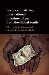 bokomslag Reconceptualizing International Investment Law from the Global South