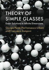 bokomslag Theory of Simple Glasses
