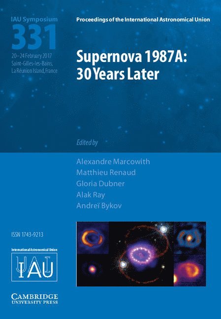 Supernova 1987A: 30 Years Later (IAU S331) 1