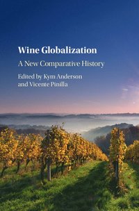 bokomslag Wine Globalization