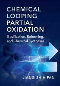 bokomslag Chemical Looping Partial Oxidation