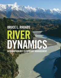 bokomslag River Dynamics