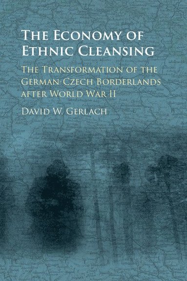 bokomslag Economy of Ethnic Cleansing