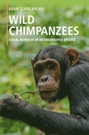 bokomslag Wild Chimpanzees