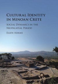 bokomslag Cultural Identity in Minoan Crete