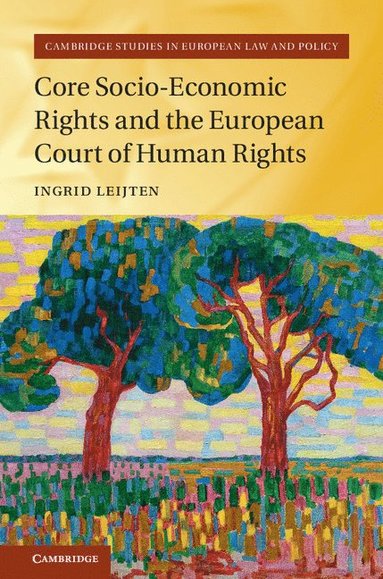 bokomslag Core Socio-Economic Rights and the European Court of Human Rights