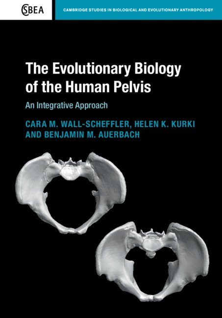 The Evolutionary Biology of the Human Pelvis 1