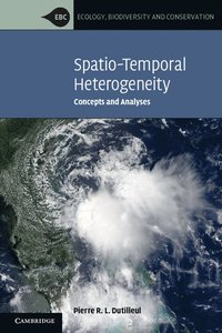 bokomslag Spatio-Temporal Heterogeneity