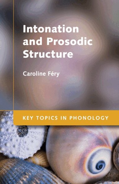 Caroline Féry - Intonation and Prosodic Structure, Häftad