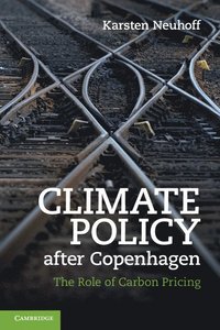 bokomslag Climate Policy after Copenhagen