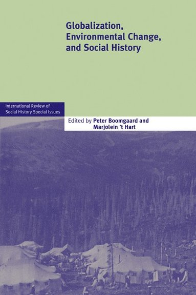 bokomslag Globalization, Environmental Change, and Social History