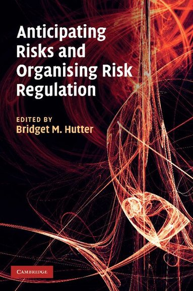 Bridget M. Hutter - Anticipating Risks and Organising Risk Regulation, Häftad