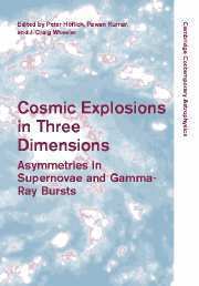 Peter Höflich, Pawan Kumar, J. Craig Wheeler - Cosmic Explosions in Three Dimensions, Häftad