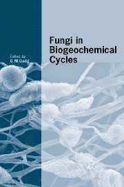 bokomslag Fungi in Biogeochemical Cycles