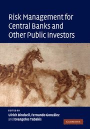 bokomslag Risk Management for Central Banks and Other Public Investors