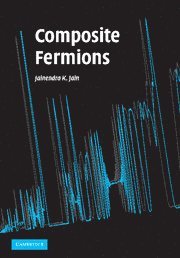 bokomslag Composite Fermions