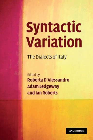 Roberta D'Alessandro, Adam Ledgeway, Ian Roberts - Syntactic Variation, Häftad
