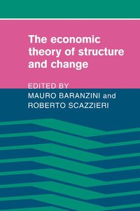 bokomslag The Economic Theory of Structure and Change