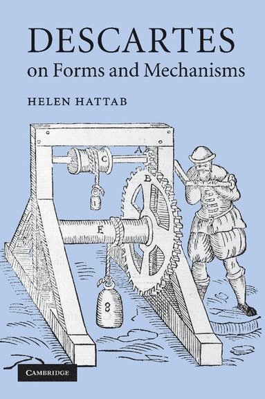 bokomslag Descartes on Forms and Mechanisms