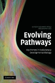 bokomslag Evolving Pathways